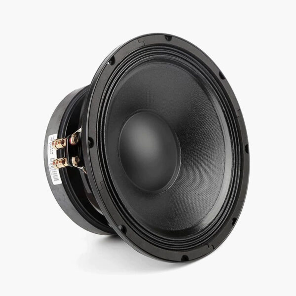 DSW PRO 4 - Subwoofer 400W 8 Inch